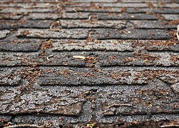 Glen Burnie Roofing Images